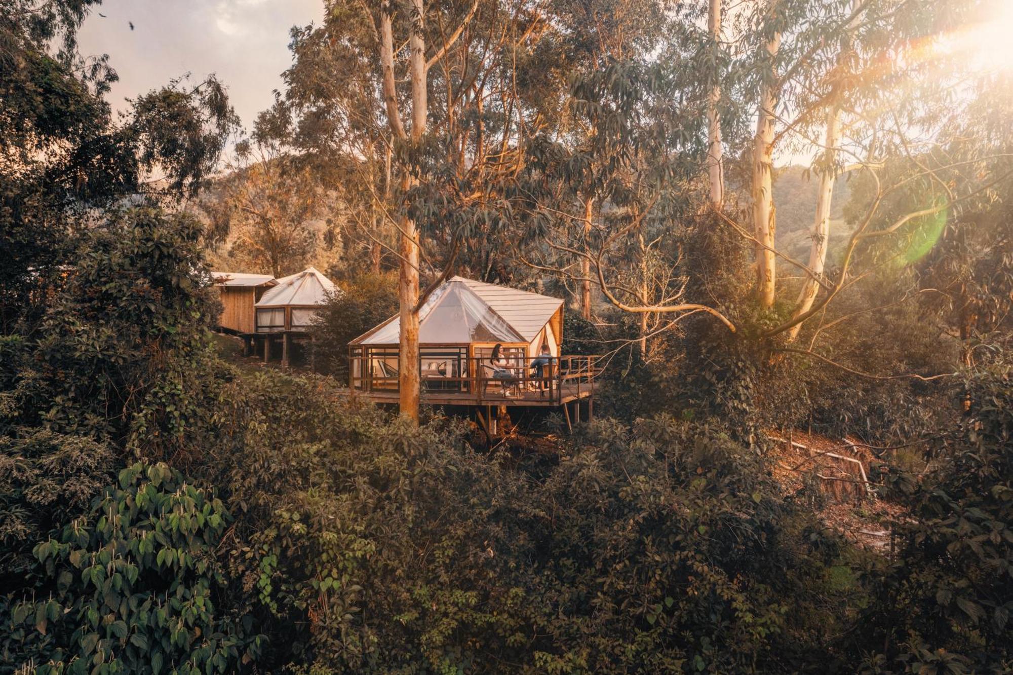 Glamping Lumbre Villa Salento Bagian luar foto