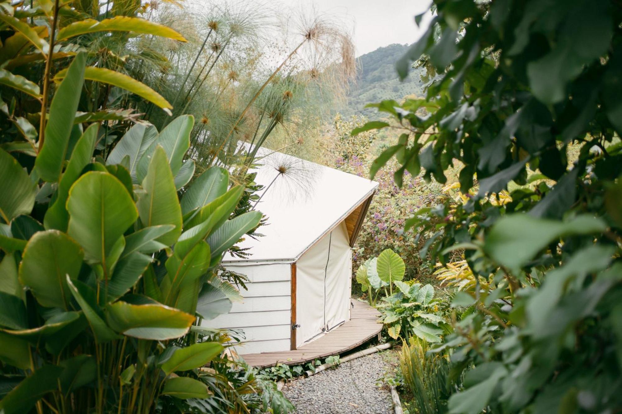 Glamping Lumbre Villa Salento Bagian luar foto